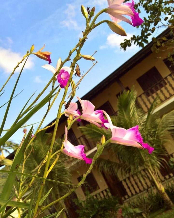 Hotel Pouso Bom Retiro Araquari Exteriér fotografie
